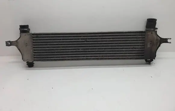 Nissan Qashqai Intercooler radiator 14461-JD50A