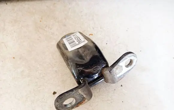 Rear door lower hinge