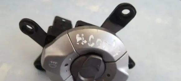 Fog light switch