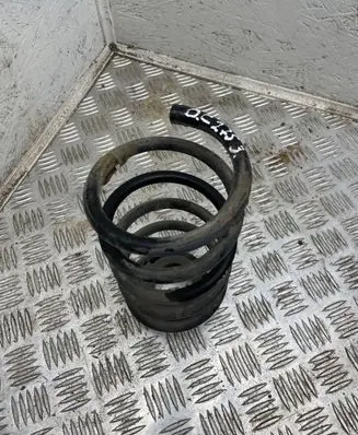 Rear coil spring