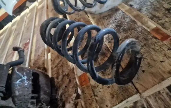 Volkswagen PASSAT B7 Rear coil spring