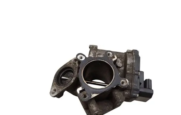 EGR valve