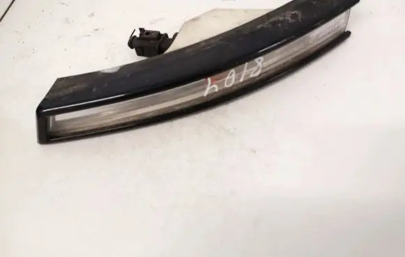 Volkswagen PASSAT B6 Front indicator light 3c0953041l