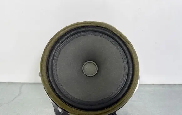 Jaguar F-Pace Front door speaker GX7318808DB