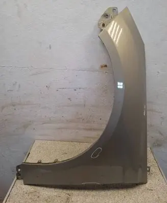 Ford Focus Fender