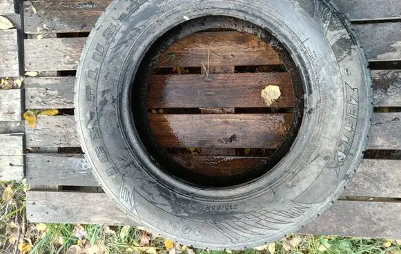 Dodge RAM 1500 DS R16 winter tire ICE-PLUSS200