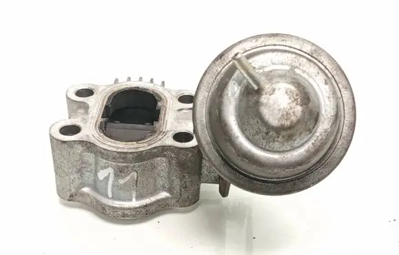Toyota RAV 4 (XA30) EGR valve