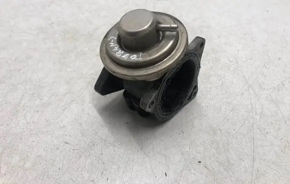 EGR valve