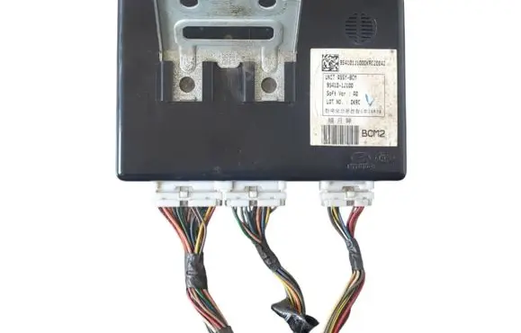 Hyundai i20 (PB PBT) Other control units/modules 954101J100