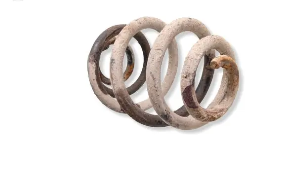 Ford Galaxy Rear coil spring 