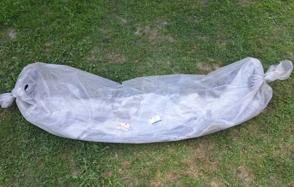 Ford Focus Front bumper 2430363