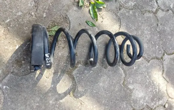 Rear coil spring