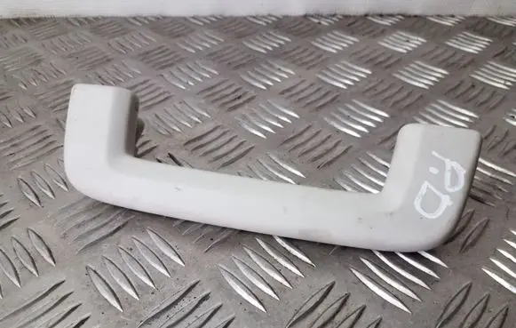 Ford Focus Front interior roof grab handle