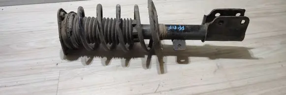 Front shock absorber with coil spring