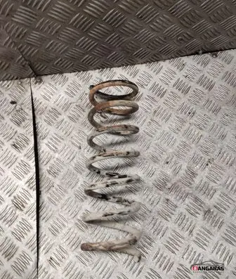 Rear coil spring