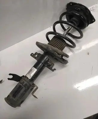 Renault Scenic III - Grand scenic III Front shock absorber with coil spring 543020017r
