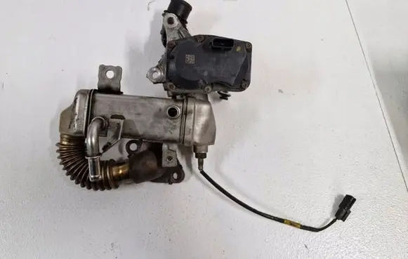 Renault Trafic III (X82) Throttle body valve 8201068965
