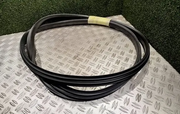 Renault Arkana Front door rubber seal