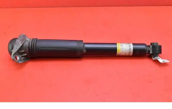 Toyota C-HR I Rear shock absorber/damper 48530F4020