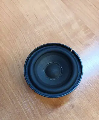 Panel speaker