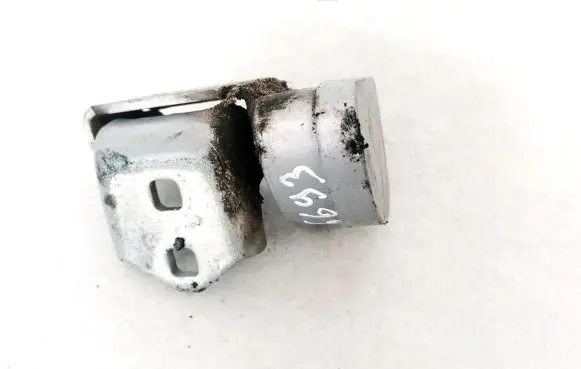 Renault Scenic II - Grand scenic II Rear door lower hinge