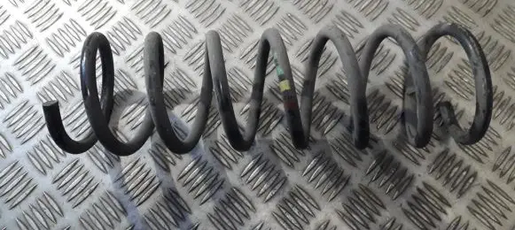 Ford Focus Rear coil spring