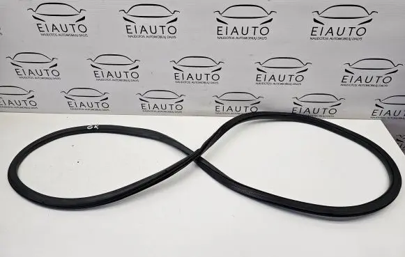 Ford Fusion II Rear door rubber seal (on body) 