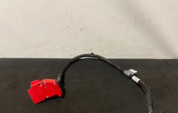 BMW X5 G05 Positive cable (battery) 8795483 8795482