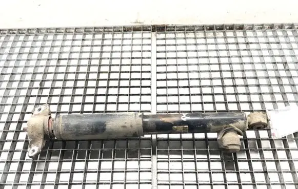 Opel Insignia A Rear shock absorber/damper 13319754