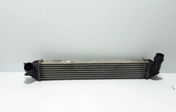 Renault Laguna III Intercooler radiator 144610001N