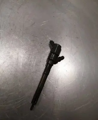 Hyundai Santa Fe Fuel injector 0445110254 3380027800