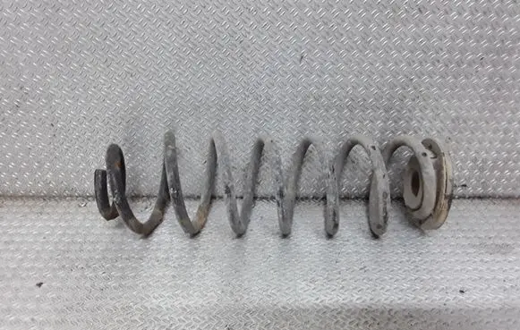 Skoda Octavia Mk2 (1Z) Rear coil spring