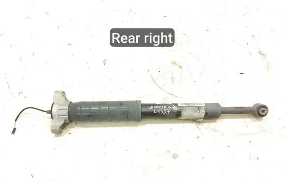 Rear shock absorber/damper