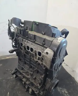 Skoda Octavia Mk2 (1Z) Engine
