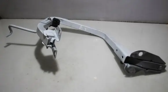 Dacia Logan II Tailgate/trunk/boot hinge
