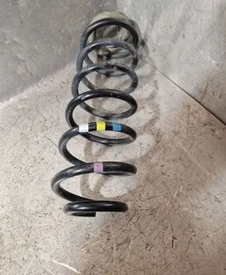 Rear coil spring