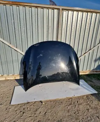 Engine bonnet/hood