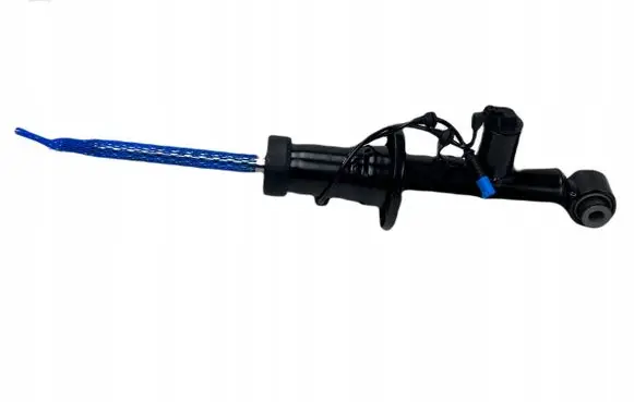 BMW X3 F25 Rear shock absorber with coil spring 6799911