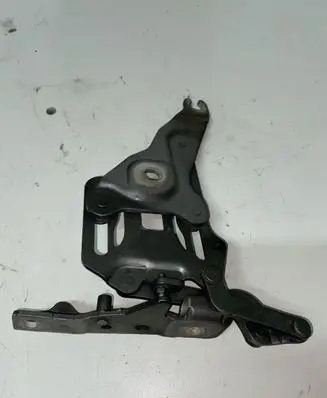 BMW X5 E70 Engine bonnet/hood hinges 7148348
