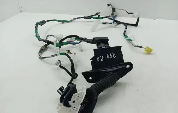 Front door wiring loom