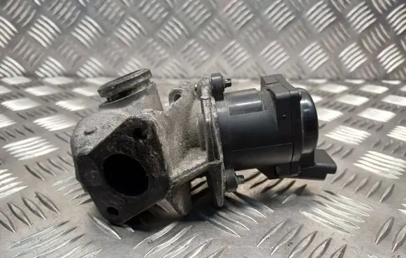 EGR valve