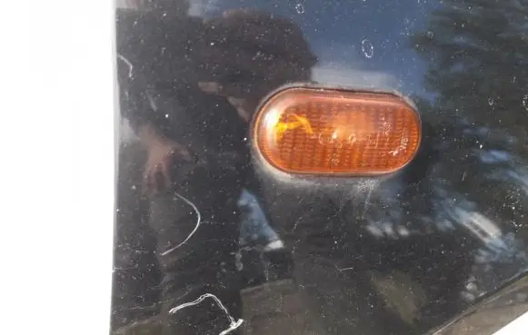 Renault Clio II Front fender indicator light