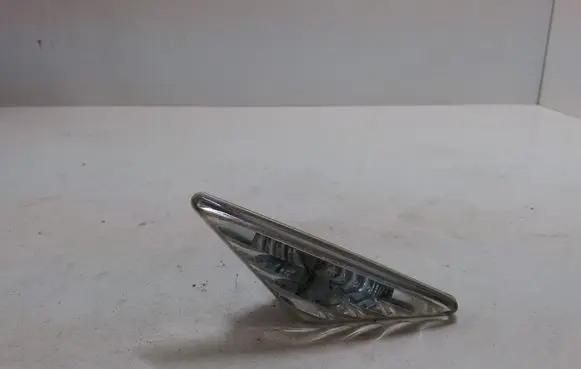Front fender indicator light