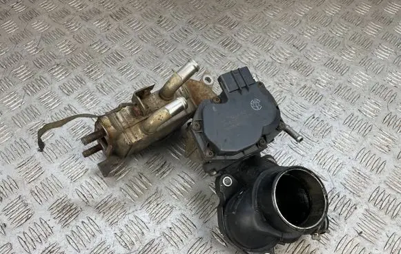 EGR valve