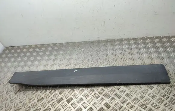 Front door trim (molding)