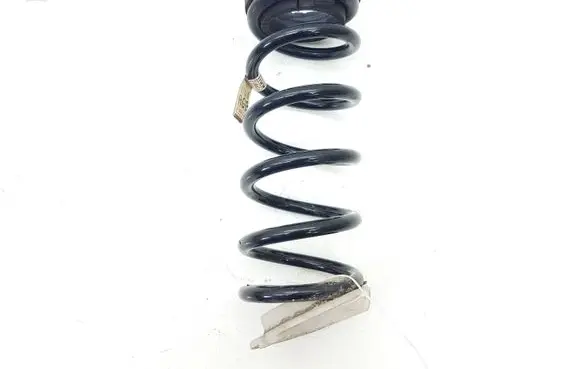 Ford Fusion II Rear coil spring DG9C5560GNF DG9C5560 Q48PA