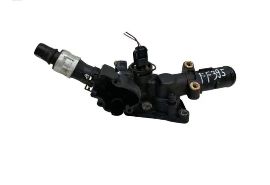 Thermostat/thermostat housing
