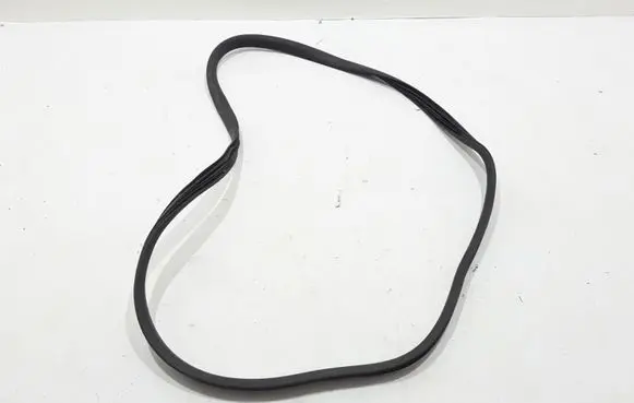 Renault Zoe Rear door rubber seal (on body) 769232904R