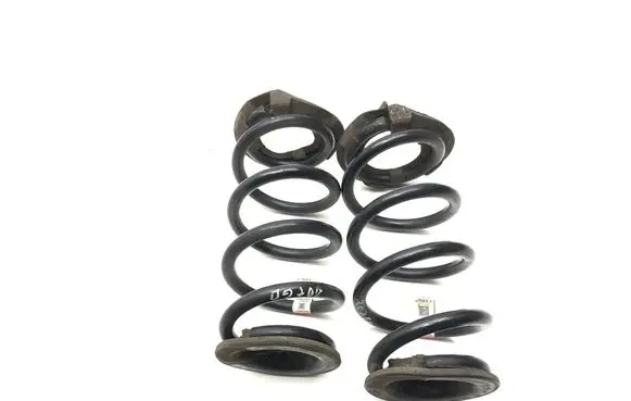 Tesla Model 3 Rear coil spring 104447201E