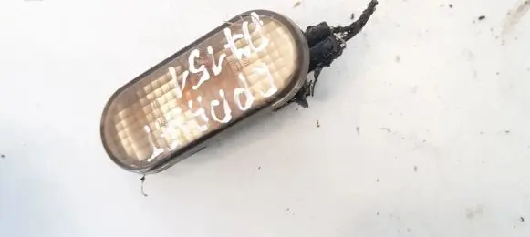 Front fender indicator light